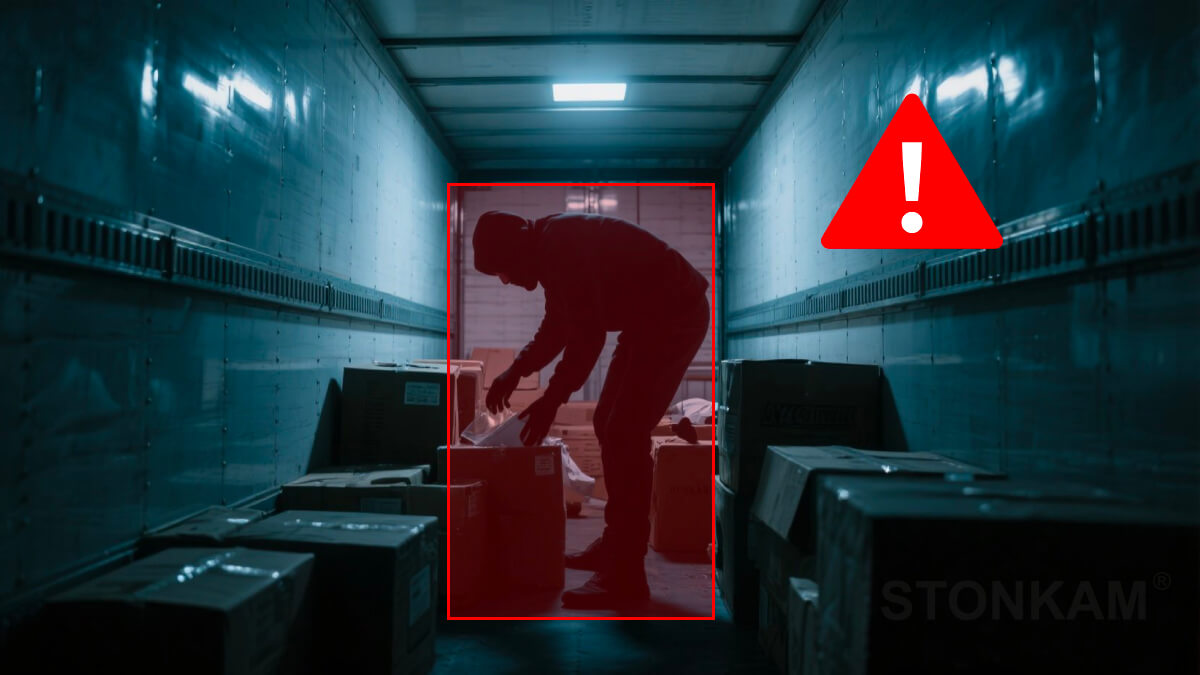 Cargo space perception camera