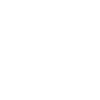 Visual AI Perception