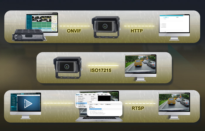 IP Cameras