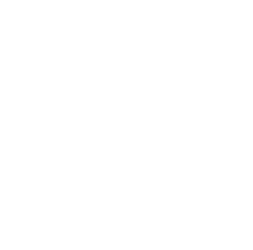 AI 360° AVS