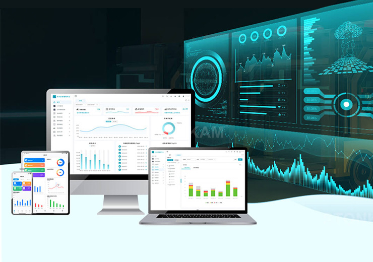 Fleet Optimization & Operational Efficiency