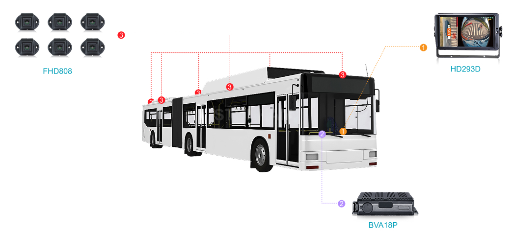 Public Transportation