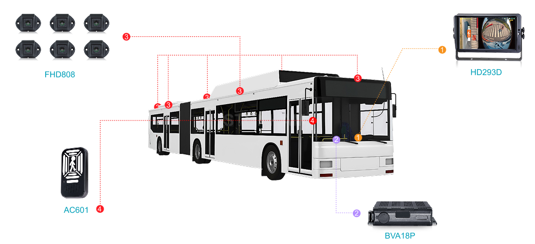 Public Transportation