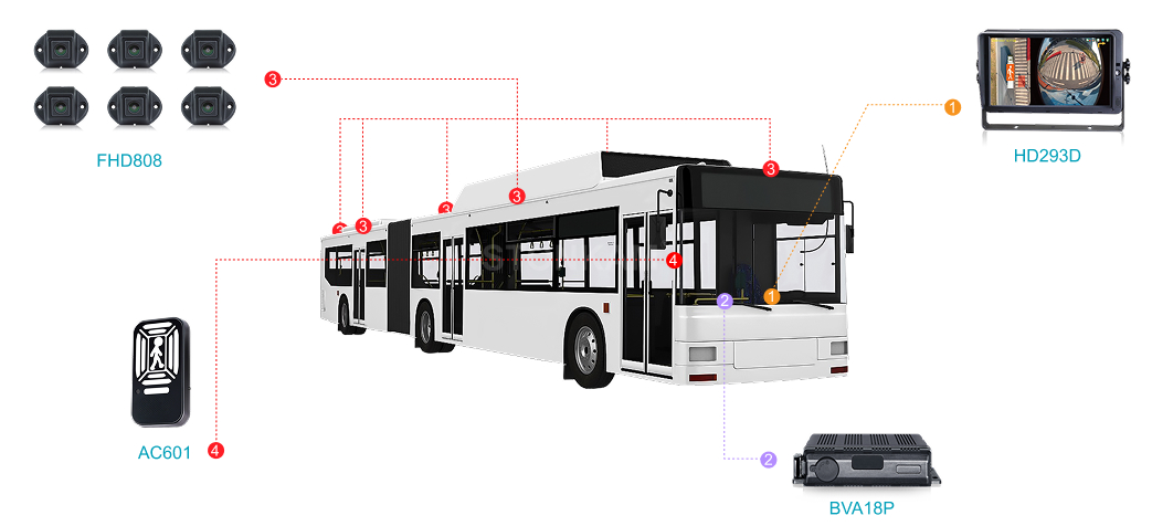 Public Transportation